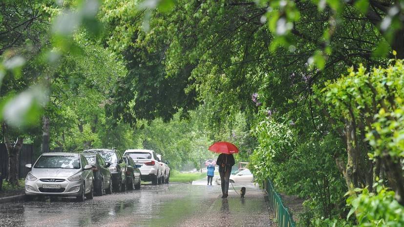 Гидрометцентр Роман Вильфанд - Источник: сильный ветер в Москве в выходные повалил более 340 деревьев - russian.rt.com - Москва - Россия