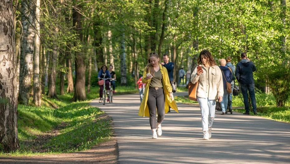 Петербург занял первое место по индексу самоизоляции - dp.ru - Москва - Санкт-Петербург - Воронеж - Новосибирск - Нижний Новгород - Ростов-На-Дону