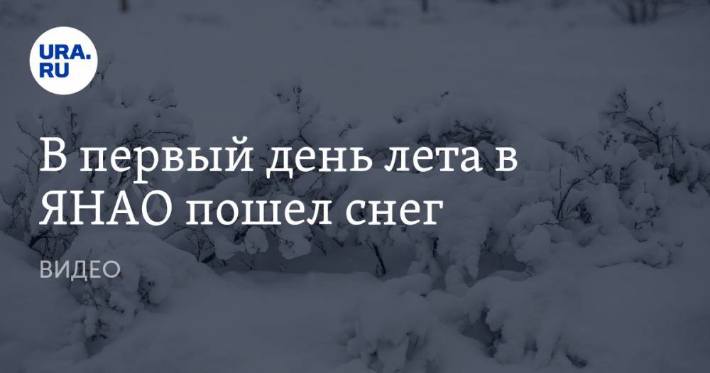 В первый день лета в ЯНАО пошел снег. ВИДЕО - ura.news - Салехард - окр. Янао