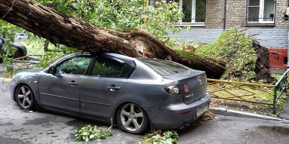 Сильный ветер повредил 80 автомобилей в Москве - autonews.ru - Москва