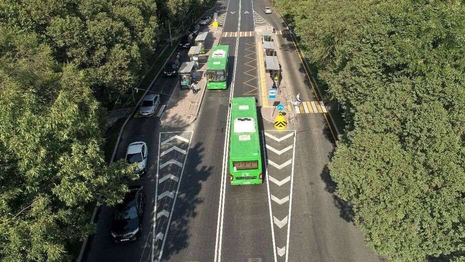 Общественные слушания по вырубке деревьев для строительства BRT в Алматы пройдут в режиме онлайн - informburo.kz - Алма-Ата