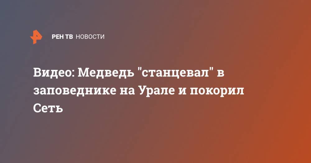 Видео: Медведь "станцевал" в заповеднике на Урале и покорил Сеть - ren.tv - Свердловская обл.