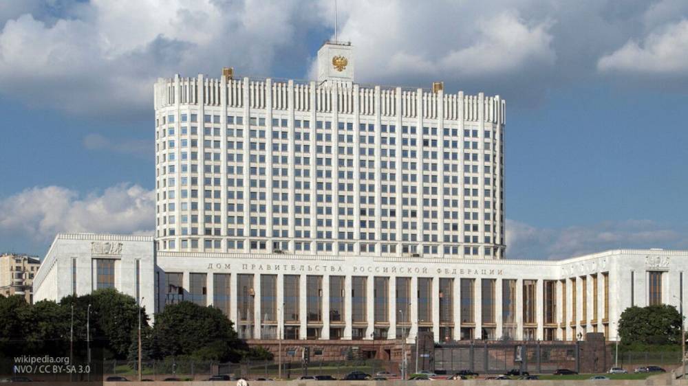 Кабмин не поддержал законопроект ЛДПР о выплатах домохозяйкам - nation-news.ru - Россия