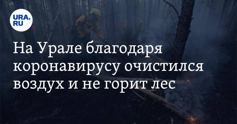 Алексей Кузнецов - На Урале благодаря коронавирусу очистился воздух и не горит лес - ura.news - Екатеринбург - Свердловская обл.