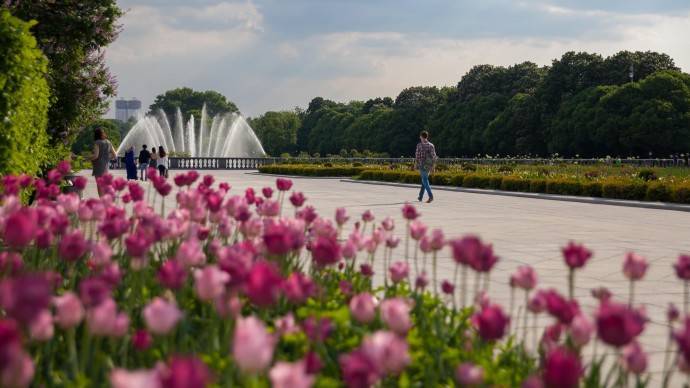 После карантина в Москве открылись парки и скверы - parkseason.ru - Москва - Новости