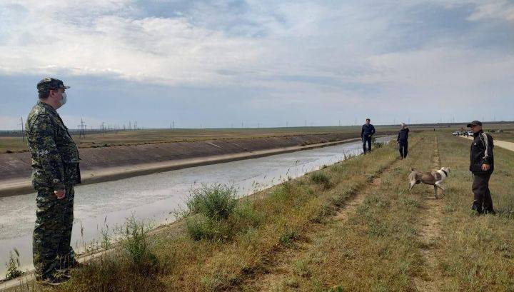 Прокуратура проверит семью девочки, пропавшей в Крыму - vesti.ru - Крым - Севастополь
