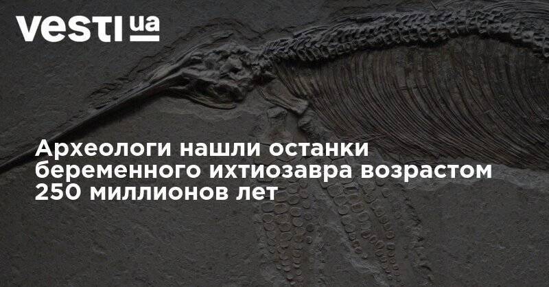 Археологи нашли останки беременного ихтиозавра возрастом 250 миллионов лет - vesti.ua - шт. Невада