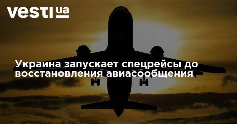 Владислав Криклий - Украина запускает спецрейсы до восстановления авиасообщения - vesti.ua - Украина
