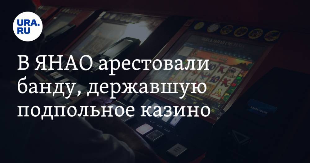 В ЯНАО арестовали банду, державшую подпольное казино - ura.news - Ноябрьск - окр. Янао
