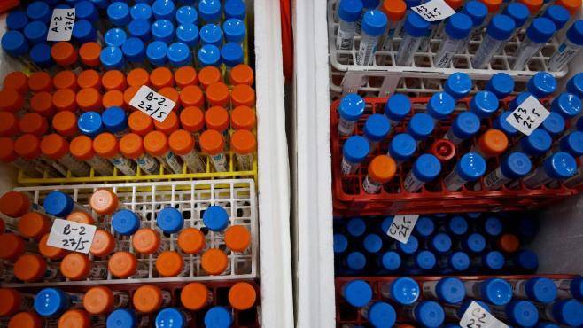 Джон Хопкинс - Роберт Кох - Берлин - Актуальная ситуация: количество инфицированных в Германии сократилось до 7 400 человек - germania.one - США - Германия - Бавария