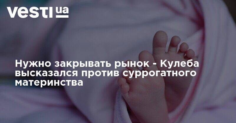 Нужно закрывать рынок - Кулеба высказался против суррогатного материнства - vesti.ua - Украина - Кулеба
