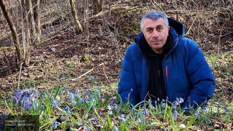 Комаровский: вы можете отдать ребенка в детский сад, если там соблюдают все нормы гигиены - nation-news.ru