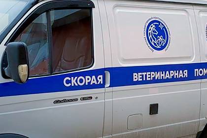 В Якутии появилась скорая помощь для животных - lenta.ru - респ. Саха - Якутск - Салехард