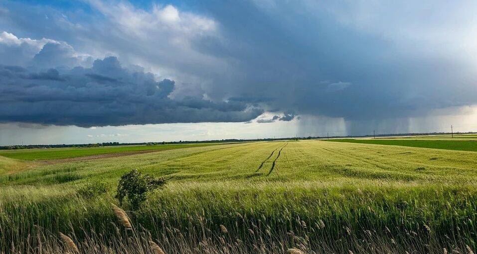 Hortidaily: отмена продуктового эмбарго России не поможет фермерам ЕС - politros.com - Россия - Голландия