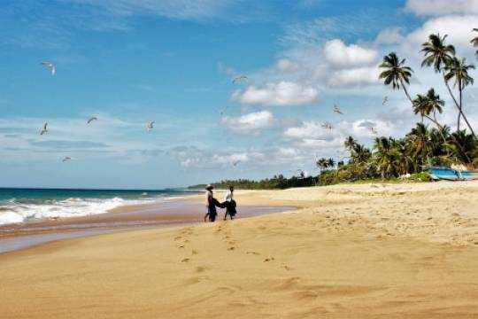 Шри-Ланка готова принять туристов в августе - versia.ru - Шри Ланка - Jakarta