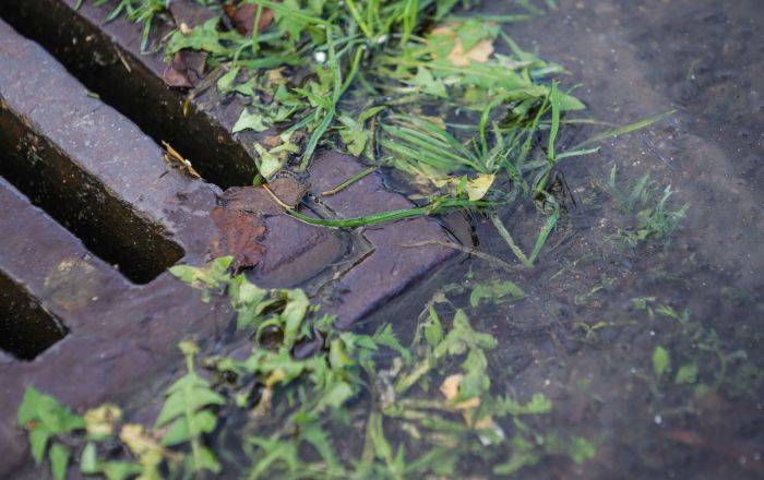 Пасмурно, местами дожди: синоптики о погоде на неделю в Латвии - lv.sputniknews.ru - Рига - Латвия