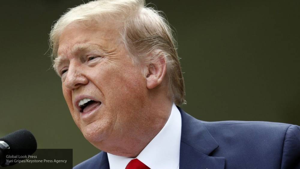 Дональд Трамп - Трамп оправдывает строительство стены на границе с Мексикой спасением США от коронавируса - polit.info - США - Мексика
