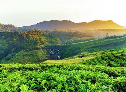 Власти Шри-Ланки планируют открыть страну для туристов 1 августа - news.am - Армения - Шри Ланка - Jakarta