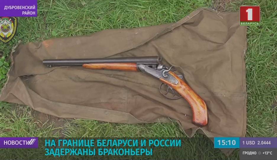 На границе Беларуси и России задержаны браконьеры - tvr.by - Россия - Белоруссия - Орша