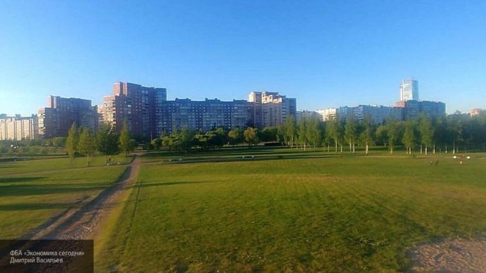 Петербуржцы заметили змею на оживленной улице в Приморском районе - nation-news.ru - Санкт-Петербург