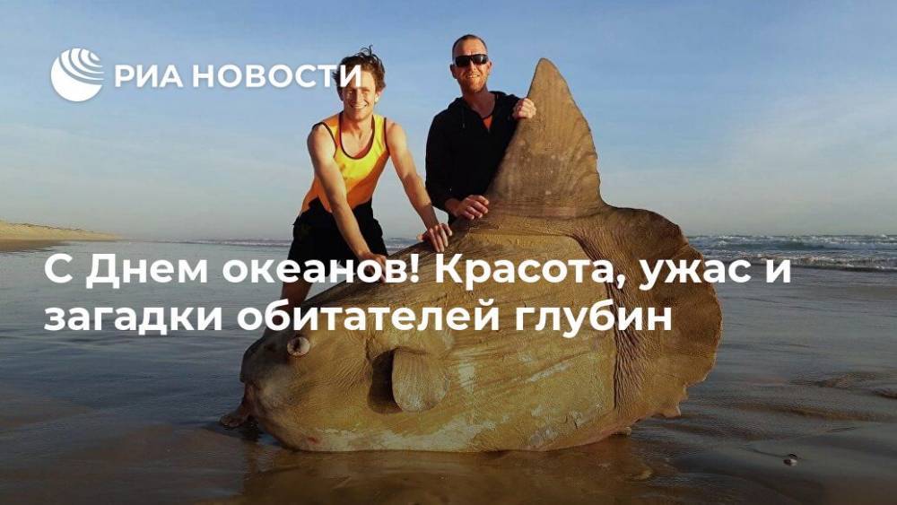 С Днем океанов! Красота, ужас и загадки обитателей глубин - ria.ru - Москва - Гренландия