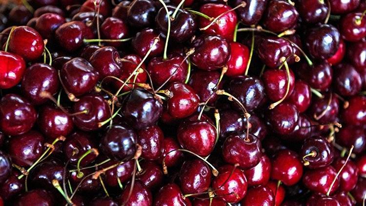 Эксперт дала советы по выбору вкусной черешни - crimea.ria.ru - Крым - Симферополь