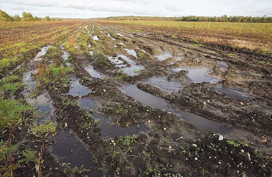 Под Уфой отходы сбрасывали на поля под видом удобрений - news102.ru - Башкирия - Уфа