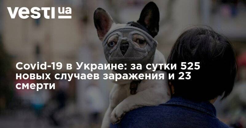 Максим Степанов - Covid-19 в Украине: за сутки 525 новых случаев заражения и 23 смерти - vesti.ua - Украина - Киев