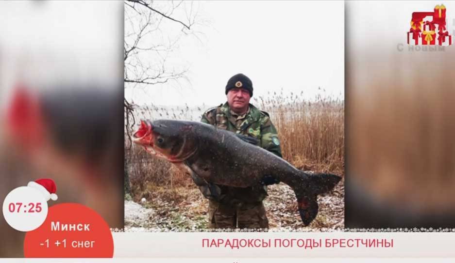 Парадоксы погоды Брестчины - tvr.by