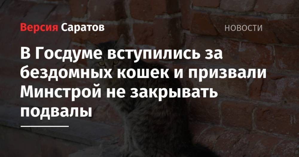 Владимир Бурматов - Владимир Якушев - В Госдуме вступились за бездомных кошек и призвали Минстрой не закрывать подвалы - nversia.ru - Россия