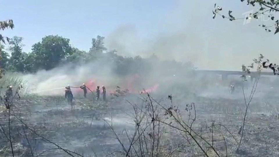 В Ростовской области за пожароопасной обстановкой следят добровольные дружины из байкеров и конников - 1tv.ru - Ростовская обл.