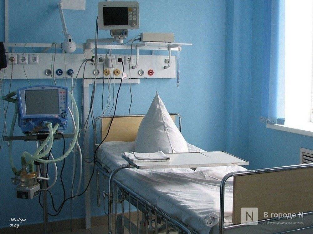 Давид Мелик-Гусейнов - Коечным фондом Нижегородской области управляет электронная система - vgoroden.ru - Москва - Нижегородская обл.