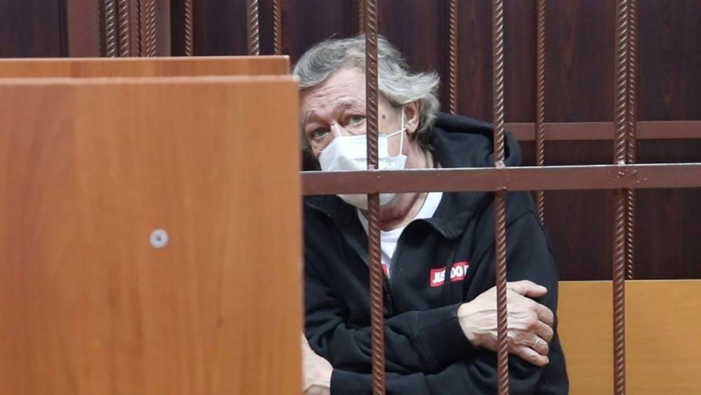 Михаил Ефремов - Сергей Захаров - Михаила Ефремова проверят на вменяемость - gubdaily.ru - Москва
