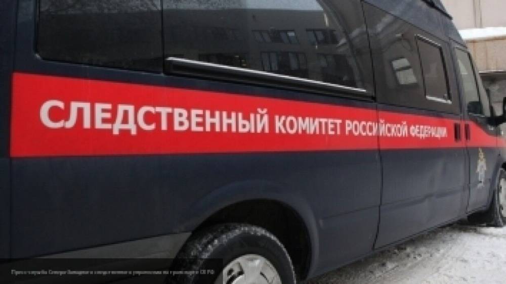 Готовившего теракт в школе Красноярска подростка признали психически нездоровым - inforeactor.ru - Красноярск