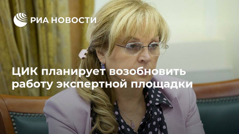 Элла Памфилова - ЦИК планирует возобновить работу экспертной площадки - ria.ru - Москва