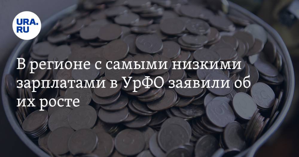 Андрей Потапов - В регионе с самыми низкими зарплатами в УрФО заявили об их росте - ura.news