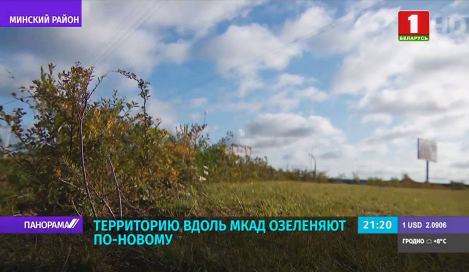 В Минске начался месяц благоустройства и озеленения территорий - tvr.by - Белоруссия - Минск