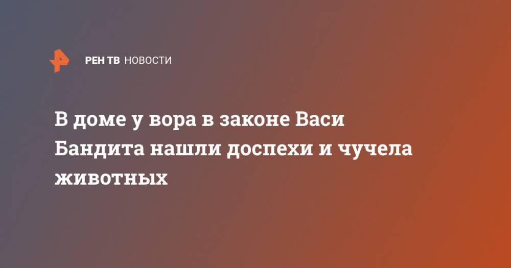 В доме у вора в законе Васи Бандита нашли доспехи и чучела животных - ren.tv