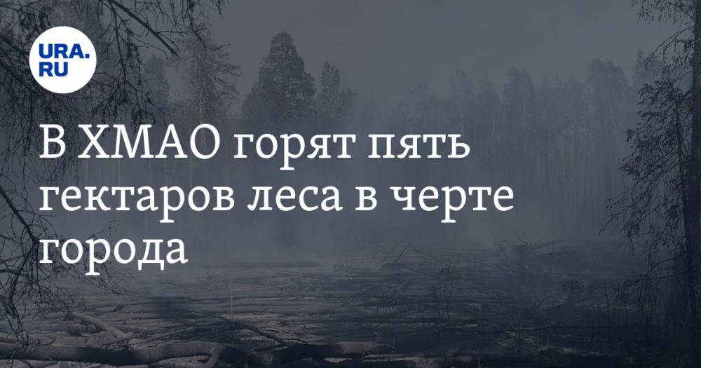 В ХМАО горят пять гектаров леса в черте города. ВИДЕО - ura.news - Югра - Югорск