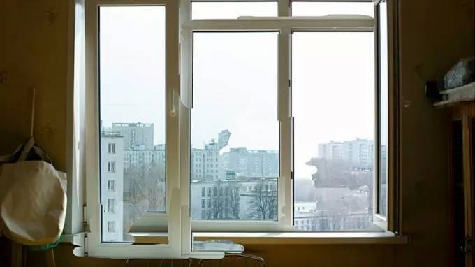 "Коронавирусная" онлайн-выставка петербурженки собрала участников из разных стран - piter.tv - Россия - США - Украина - Белоруссия - Голландия