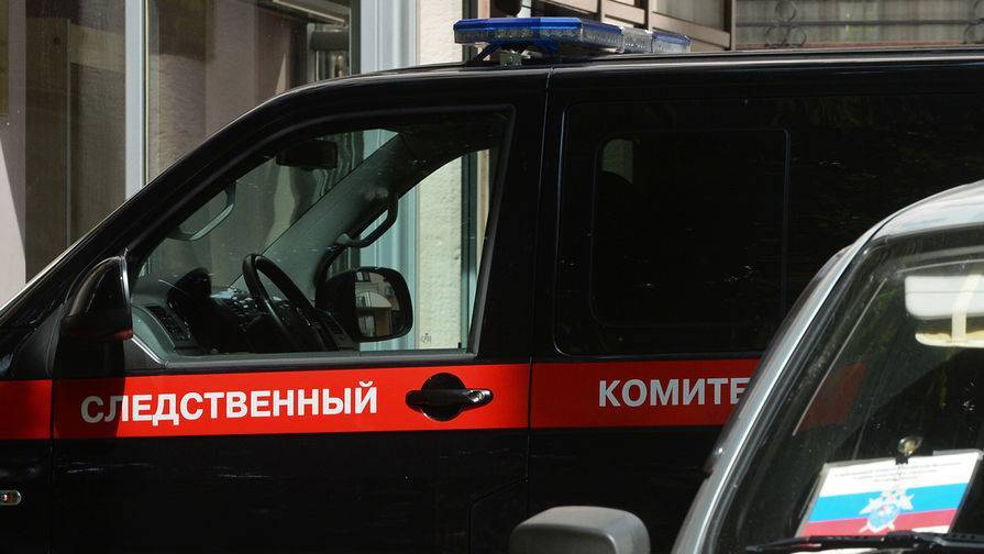 СК возбудил дело после убийства 6-летней девочки в Крыму - gazeta.ru - Россия - Крым