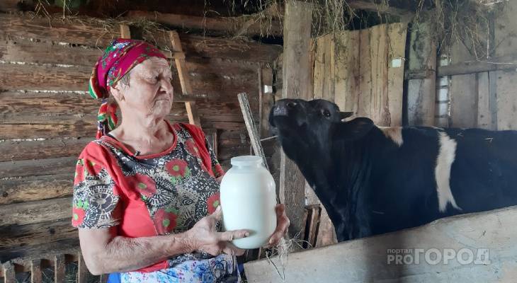 Владелица коров из Синьял: "30 лет скот держу, впервые деньги дадут" - pg21.ru - респ. Чувашия - район Чебоксарский