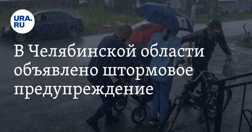 В Челябинской области объявлено штормовое предупреждение - ura.news - Россия - Челябинская обл.