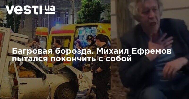 Михаил Ефремов - Багровая борозда. Михаил Ефремов пытался покончить с собой - vesti.ua - Москва