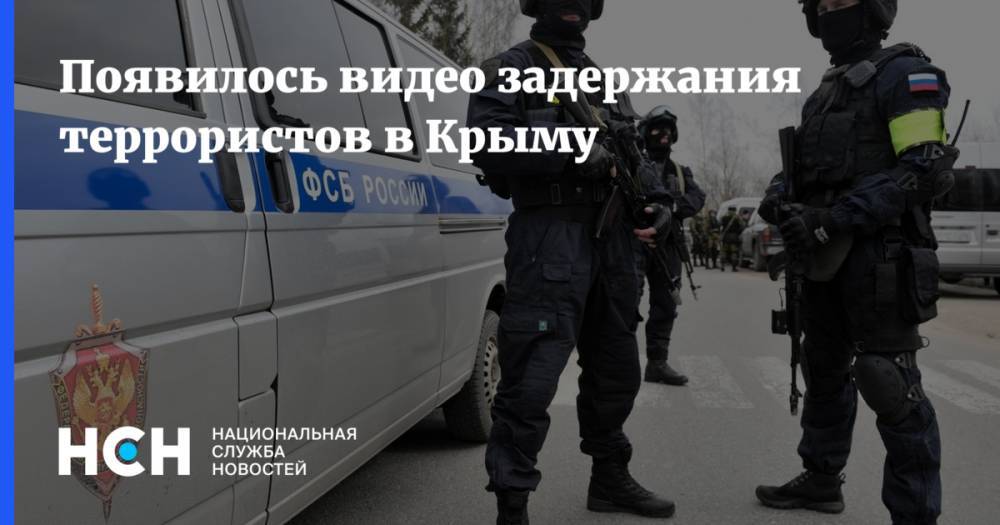 Появилось видео задержания террористов в Крыму - nsn.fm - Россия - Крым - Симферополь