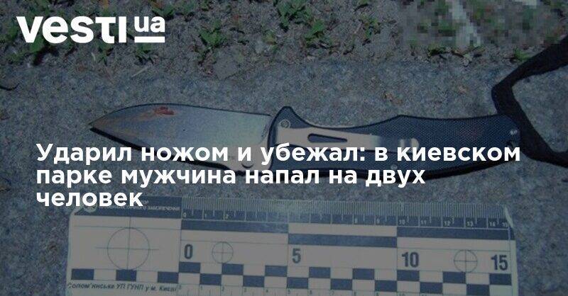 Ударил ножом и убежал: в киевском парке мужчина напал на двух человек - vesti.ua - Киев - Нападение