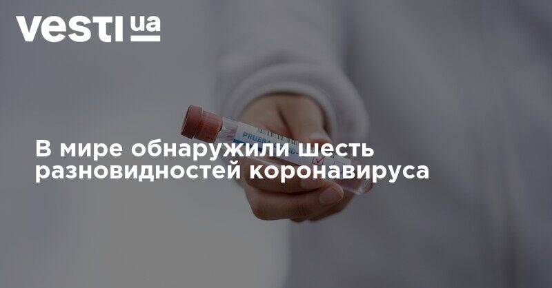 В мире обнаружили шесть разновидностей коронавируса - vesti.ua - Украина - Киев