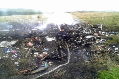 Тейс Бергер - В суде по MH17 рассказали о видевшем запуск ракеты «Бук» свидетеле - lenta.ru - Украина - ДНР - Гаага