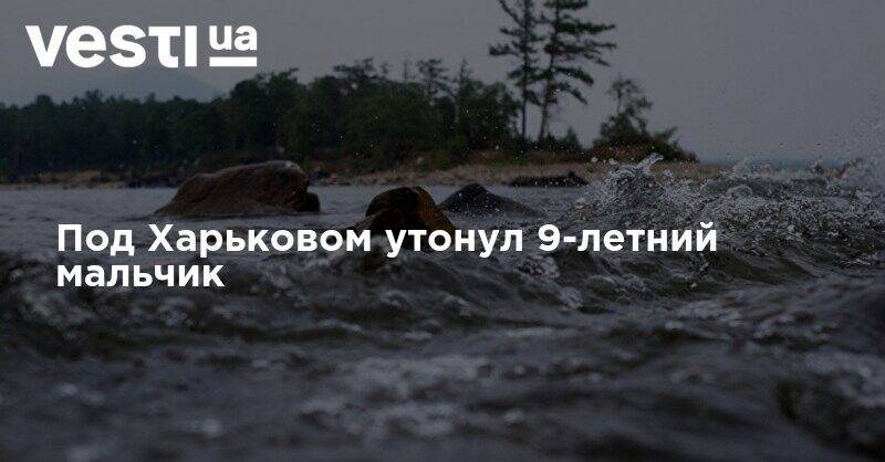 Под Харьковом утонул 9-летний мальчик - vesti.ua - Украина - Харьков - Житомир