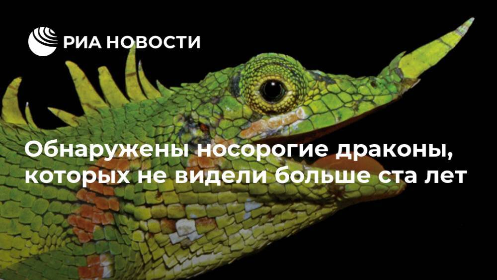 Индонезия - Обнаружены носорогие драконы, которых не видели больше ста лет - ria.ru - Москва - Италия